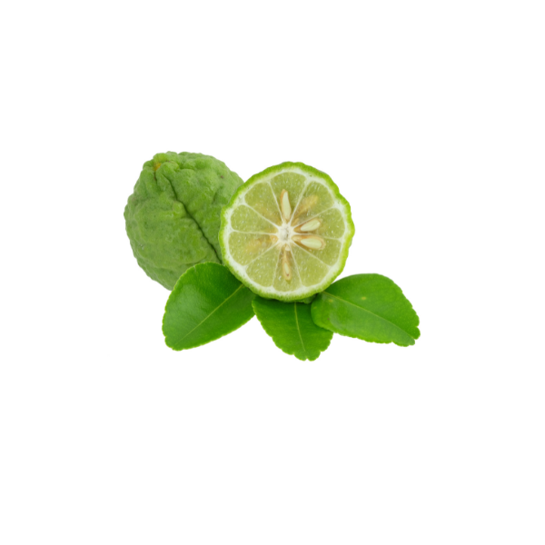 bergamot for website.png